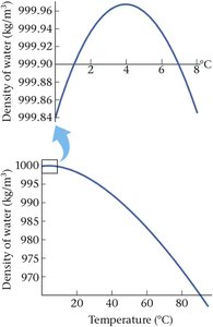Graph showing density anomaly of water near 4°C
