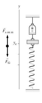 Spring-mass system at equilibrium, showing forces
