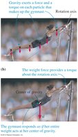 Gravitational torque and center of gravity in a gymnast