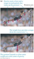 Gravitational torque and center of gravity in a gymnast (duplicate for clarity)