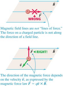 Magnetic field lines are not lines of force; force on a charged particle depends on velocity and field direction