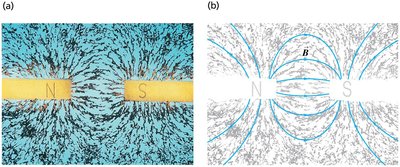 Iron filings showing magnetic field lines between two poles