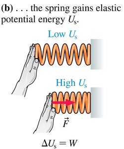 Spring gaining elastic potential energy as it is compressed
