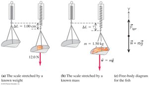 Spring scale diagrams for weighing objects