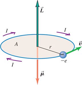 Electron in circular orbit showing angular momentum and magnetic moment directions