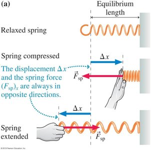 Spring force and displacement