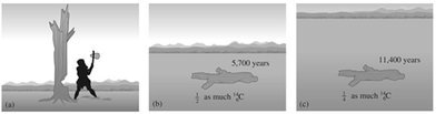 Carbon dating process