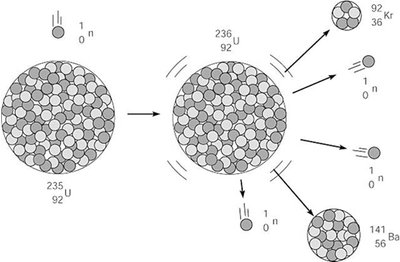 Nuclear fission of uranium-235