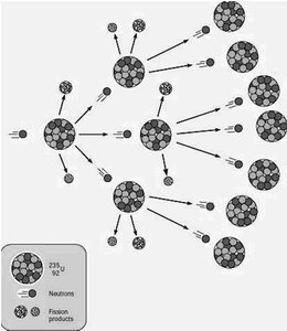 Chain reaction in nuclear fission