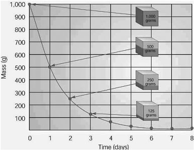 Exponential decay curve for radioactive substance