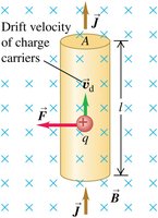 Magnetic force on a current-carrying wire