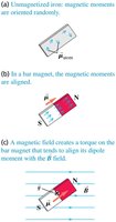 Magnetization of iron