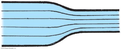 Streamlines in fluid flow