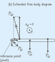 Extended free-body diagram with force vectors