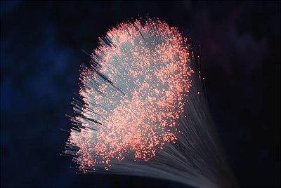 Fiber optic cables illustrating total internal reflection
