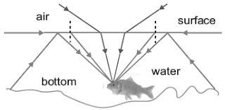 Diagram of total internal reflection at a water surface