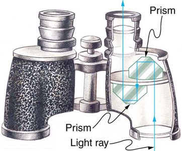 Binoculars using total internal reflection in prisms