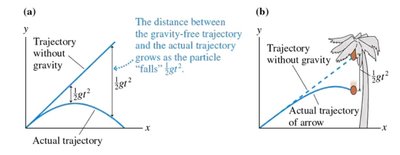Diagram showing the arrow and coconut both falling under gravity