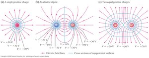 Equipotential surfaces and field lines
