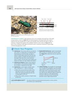 Thin-film interference in beetle shells