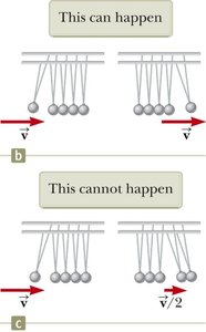 Newton's cradle: demonstration of momentum conservation
