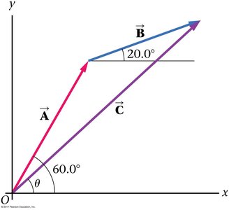 Physics with Calculus Study Guide: Vectors & Components | Notes