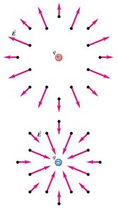 Field lines for positive and negative point charges
