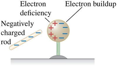 Induced charge separation by a negatively charged rod