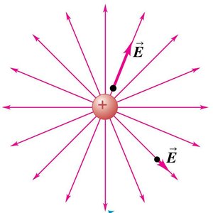 Electric field lines for a point charge
