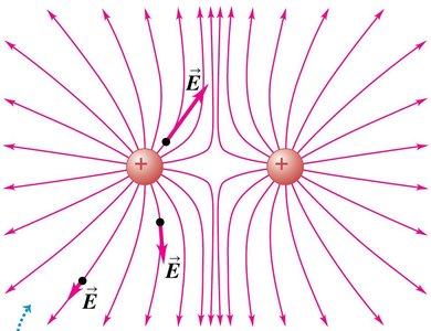 Electric field lines for two equal positive charges