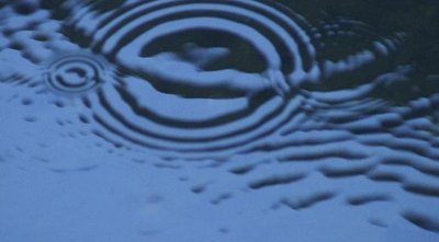 Water surface showing superposition of ripples