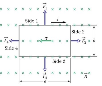 Rectangular current loop in a magnetic field with forces and torque