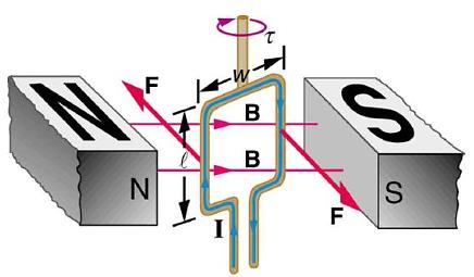 Current loop in a magnetic field experiencing torque