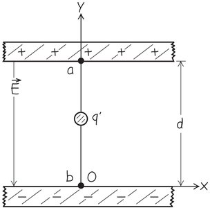 Equipotential lines between parallel plates