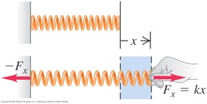 Spring force diagram