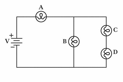 Circuit with four light bulbs in series and parallel