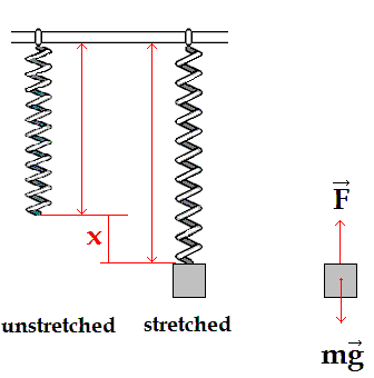 Spring stretched from equilibrium, showing Hooke's Law