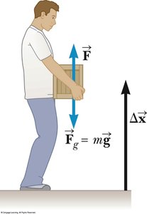 Lifting a box, showing positive and negative work