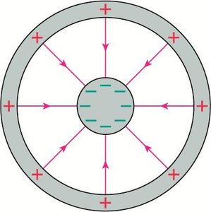 Field lines between a charged disk and a charged ring