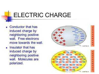 Induction and polarization in conductors and insulators