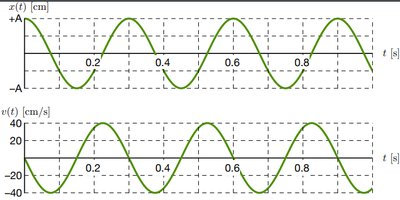 Position and velocity graphs for SHM