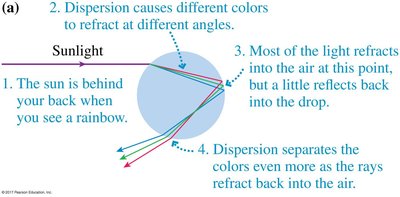 Formation of a rainbow by refraction, reflection, and dispersion in a water droplet