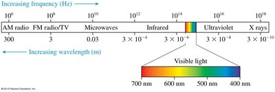 Electromagnetic spectrum with visible light highlighted