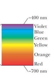 Visible light spectrum from 400 nm (violet) to 700 nm (red)