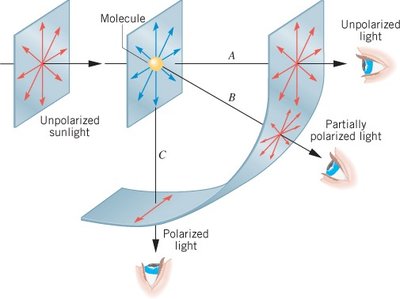 Polarization by scattering of sunlight