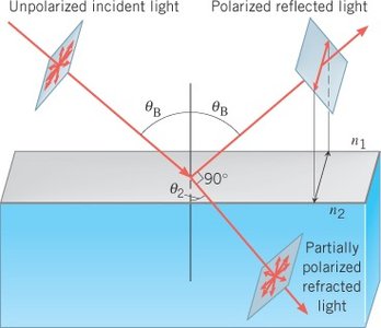 Polarization by reflection and Brewster's Law