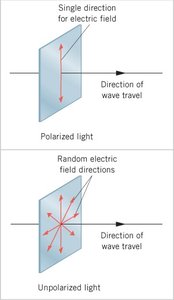 Polarized and unpolarized light