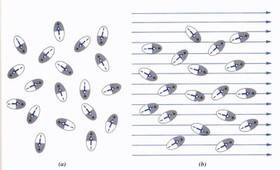 Polarization of dielectrics