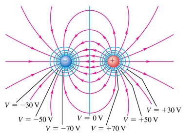 Equipotential surfaces and field lines