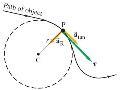 Radial and tangential acceleration vectors
